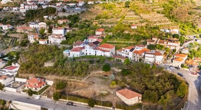 Ferme T8 à São Martinho de Mouros de 558 m²