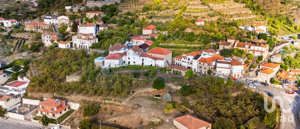 Ferme T8 à São Martinho de Mouros de 558 m²