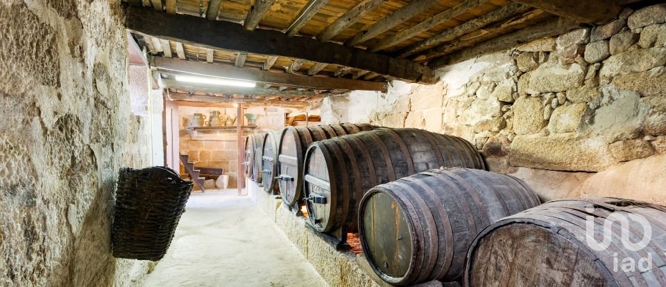 Ferme T8 à São Martinho de Mouros de 558 m²