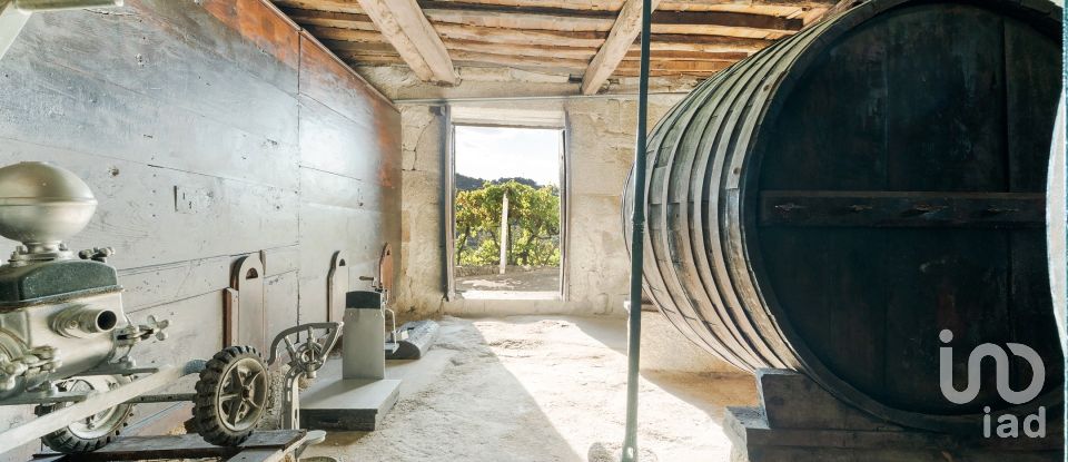 Ferme T8 à São Martinho de Mouros de 558 m²