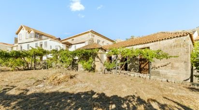 Ferme T8 à São Martinho de Mouros de 558 m²