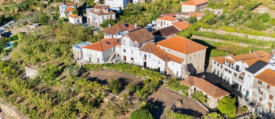 Ferme T8 à São Martinho de Mouros de 558 m²