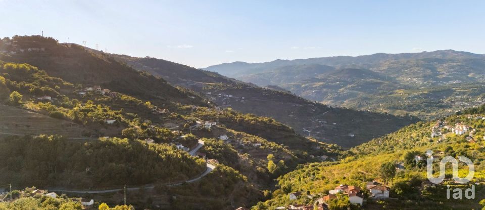 Ferme T8 à São Martinho de Mouros de 558 m²