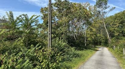 Land in Sabariz of 10,000 m²