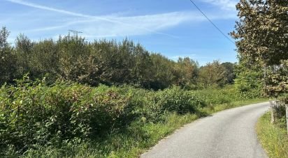 Land in Sabariz of 10,000 m²