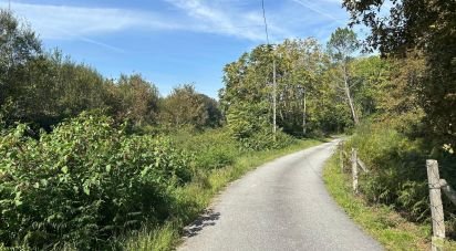 Land in Sabariz of 10,000 m²