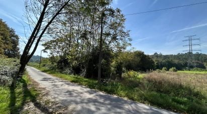 Land in Sabariz of 10,000 m²