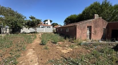 Maison de plain-pied T2 à Rio de Mouro de 106 m²