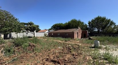 Maison de plain-pied T2 à Rio de Mouro de 106 m²