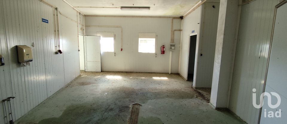 Boutique/Local commercial à Comenda de 348 m²