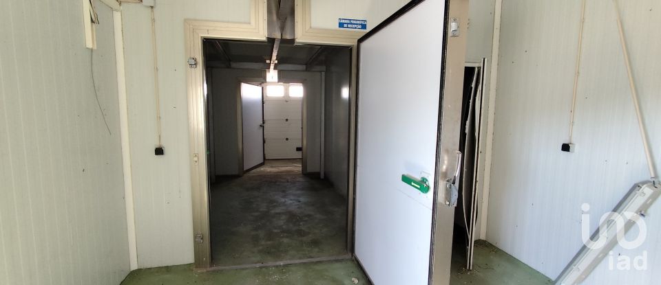 Boutique/Local commercial à Comenda de 348 m²