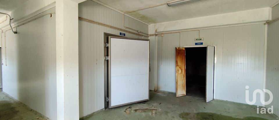 Boutique/Local commercial à Comenda de 348 m²