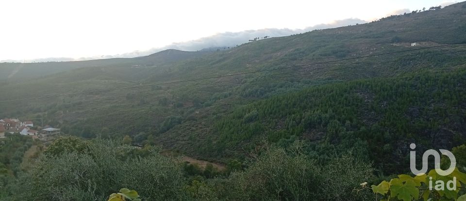 House T5 in Cortes do Meio of 444 m²