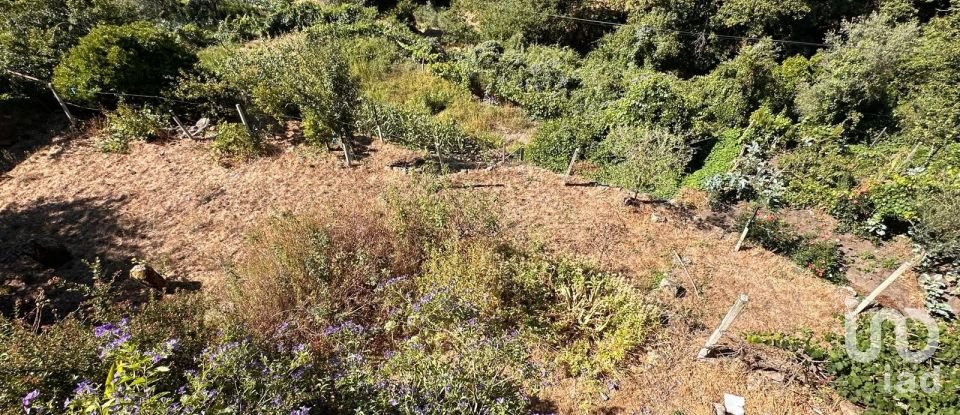 Moradia T4 em Santa Cruz da Trapa e São Cristóvão de Lafões de 126 m²