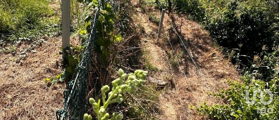 Moradia T4 em Santa Cruz da Trapa e São Cristóvão de Lafões de 126 m²