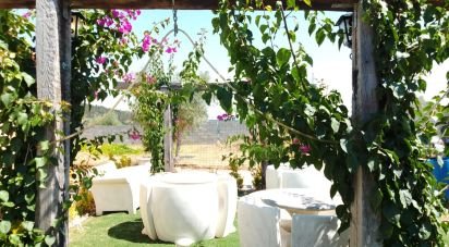 House T4 in Abrantes (São Vicente e São João) e Alferrarede of 413 m²