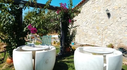 House T4 in Abrantes (São Vicente e São João) e Alferrarede of 413 m²