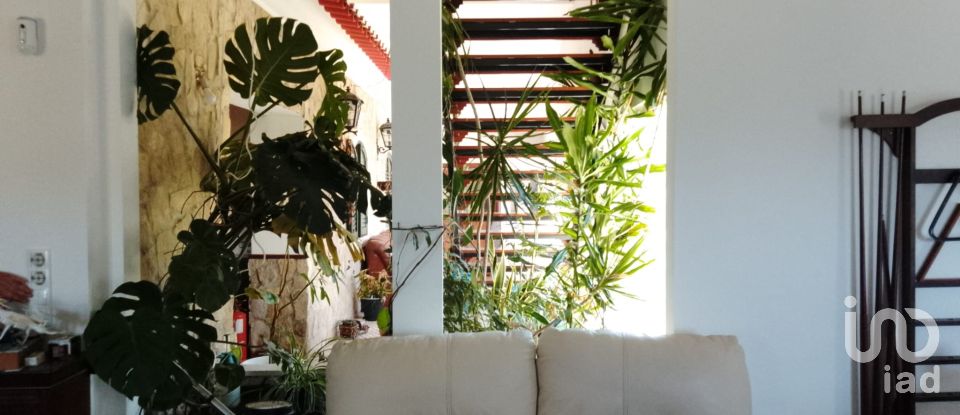 Moradia T4 em Abrantes (São Vicente e São João) e Alferrarede de 413 m²