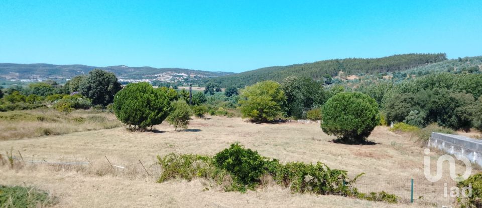 Moradia T4 em Abrantes (São Vicente e São João) e Alferrarede de 413 m²