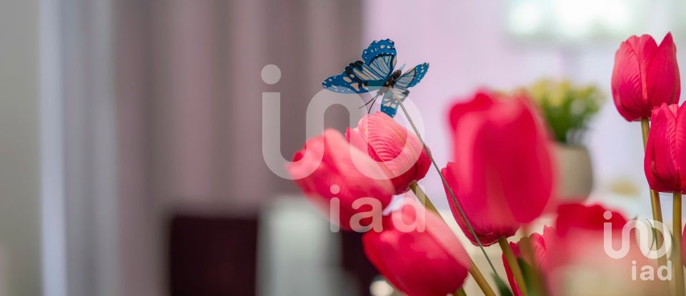 Shop / premises commercial in Faro (Sé e São Pedro) of 35 m²