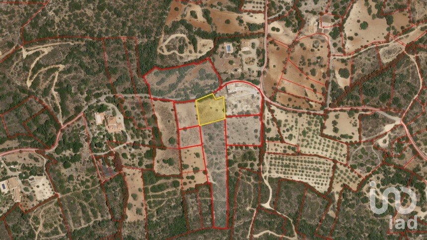 Terrain à Santa Bárbara de Nexe de 1 760 m²