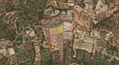 Terrain à Santa Bárbara de Nexe de 1 760 m²