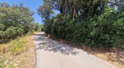 Terrain à Santa Bárbara de Nexe de 1 760 m²