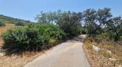 Terrain à Santa Bárbara de Nexe de 1 760 m²