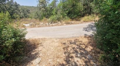 Terrain à Santa Bárbara de Nexe de 1 760 m²