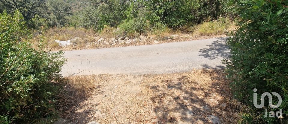 Terrain à Santa Bárbara de Nexe de 1 760 m²