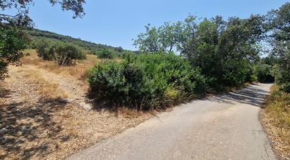 Terrain à Santa Bárbara de Nexe de 1 760 m²