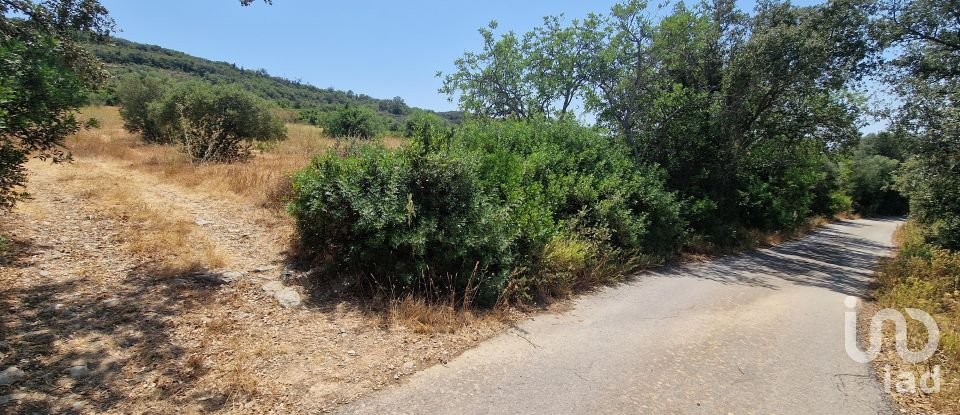 Terrain à Santa Bárbara de Nexe de 1 760 m²
