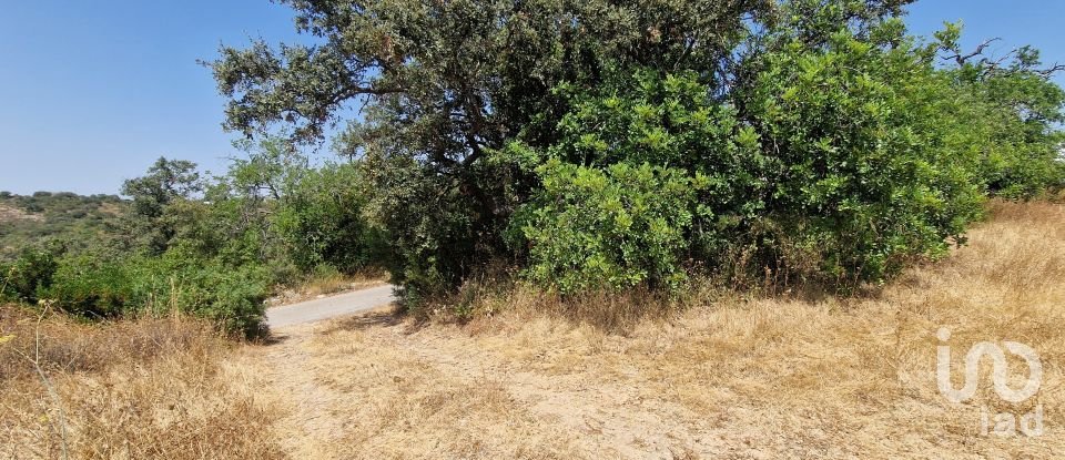 Terrain à Santa Bárbara de Nexe de 1 760 m²