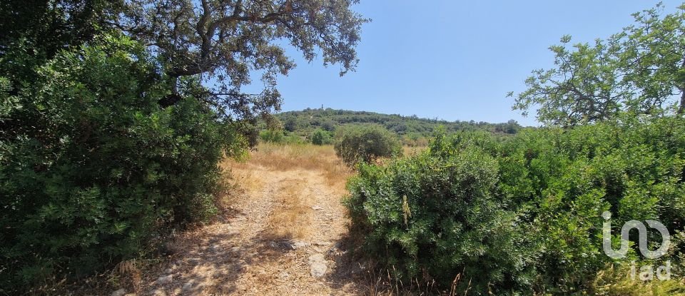 Terrain à Santa Bárbara de Nexe de 1 760 m²