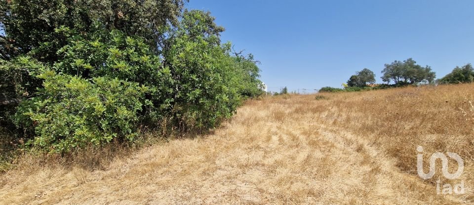 Terrain à Santa Bárbara de Nexe de 1 760 m²