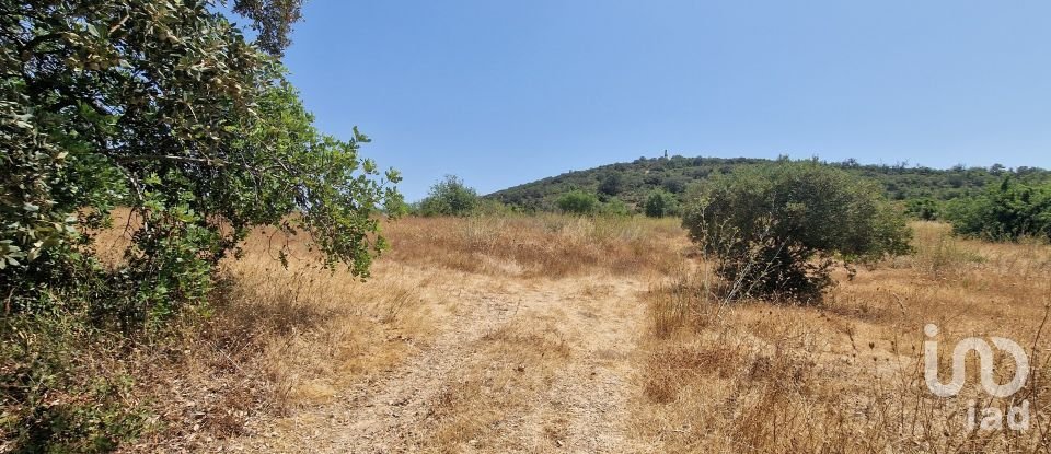 Terrain à Santa Bárbara de Nexe de 1 760 m²