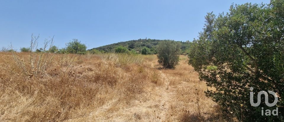 Terrain à Santa Bárbara de Nexe de 1 760 m²