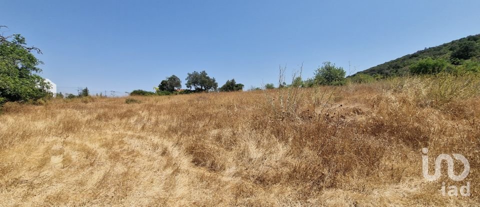 Terrain à Santa Bárbara de Nexe de 1 760 m²