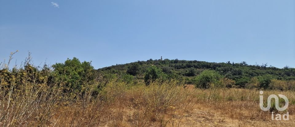 Terrain à Santa Bárbara de Nexe de 1 760 m²