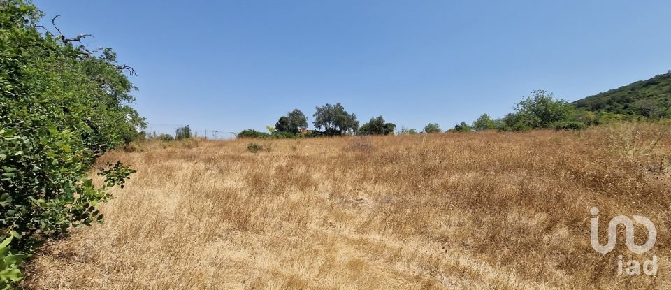 Terrain à Santa Bárbara de Nexe de 1 760 m²