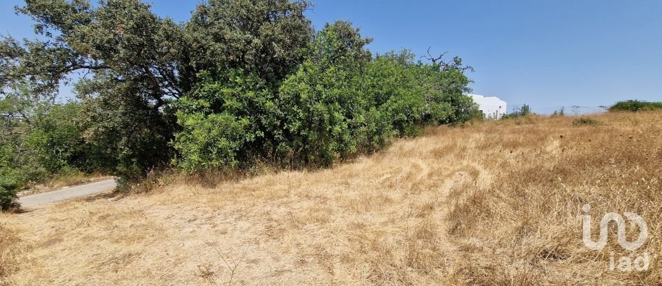 Terrain à Santa Bárbara de Nexe de 1 760 m²