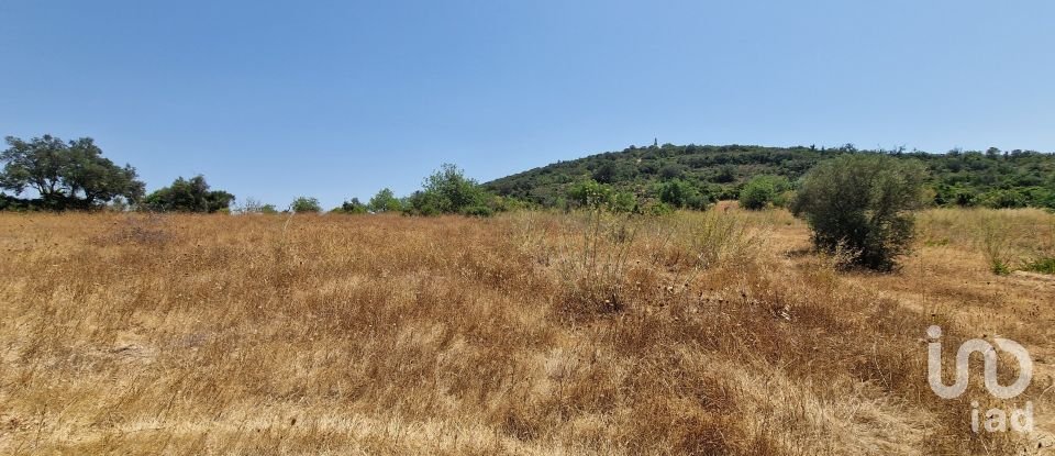 Terrain à Santa Bárbara de Nexe de 1 760 m²