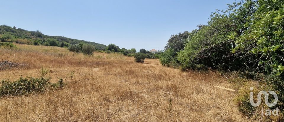 Terrain à Santa Bárbara de Nexe de 1 760 m²