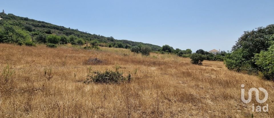 Terrain à Santa Bárbara de Nexe de 1 760 m²