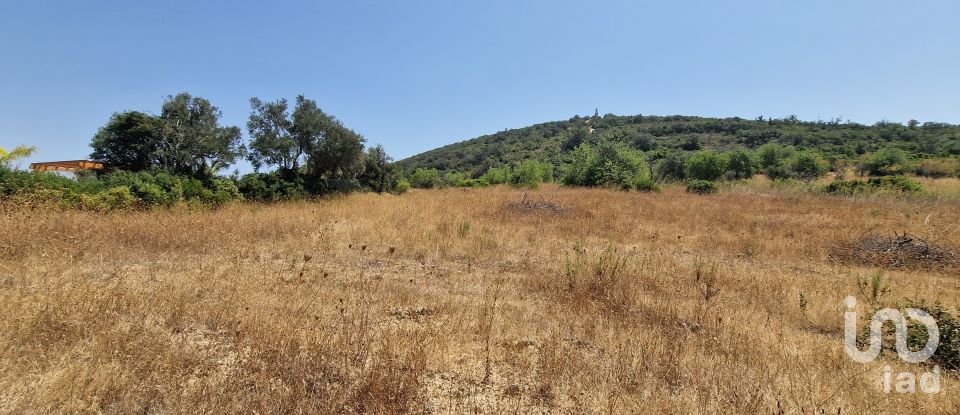 Terrain à Santa Bárbara de Nexe de 1 760 m²
