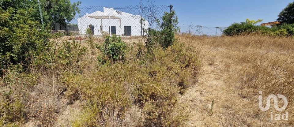 Terrain à Santa Bárbara de Nexe de 1 760 m²