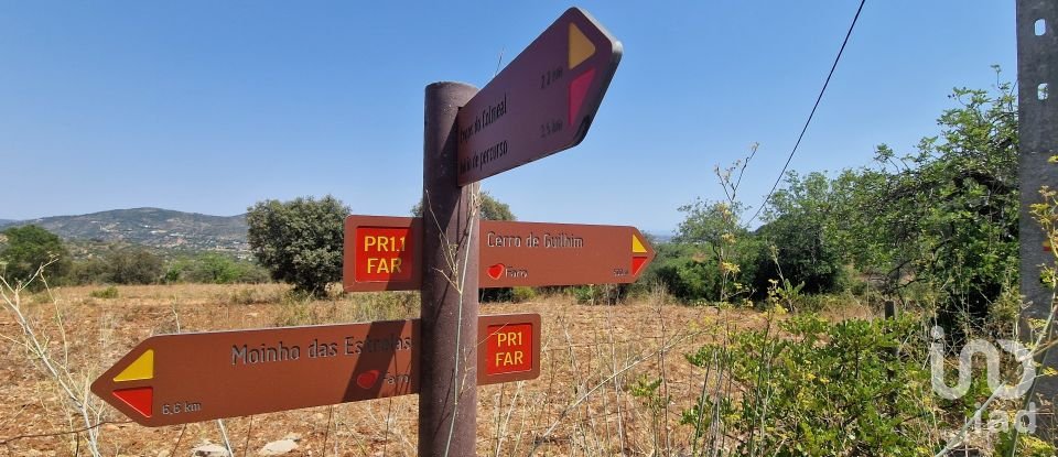 Terrain à Santa Bárbara de Nexe de 1 760 m²