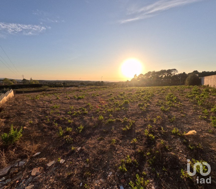 Land in Mafra of 2,711 m²