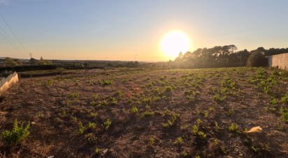 Terrain à Mafra de 2 711 m²
