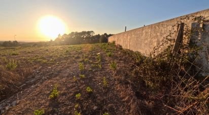 Terrain à Mafra de 2 711 m²